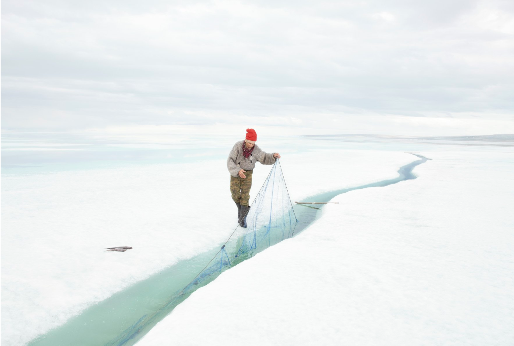 Man drops a fishing net into a watery opening in ice against an icy white landscape
