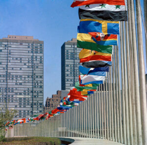 Member countries' flags in front of the UN building in New York.