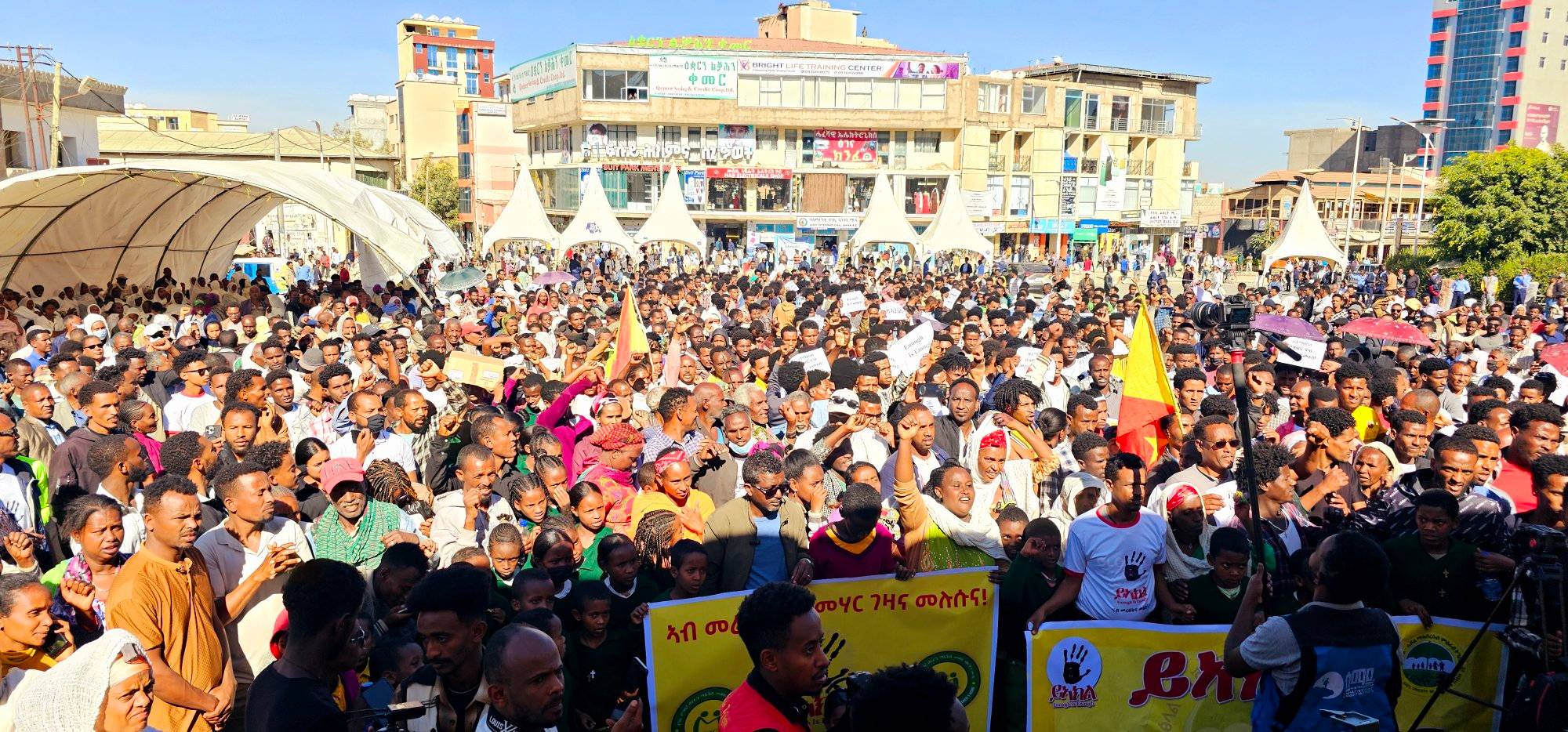 photo of large group of Ethiopian protesters holding a banner