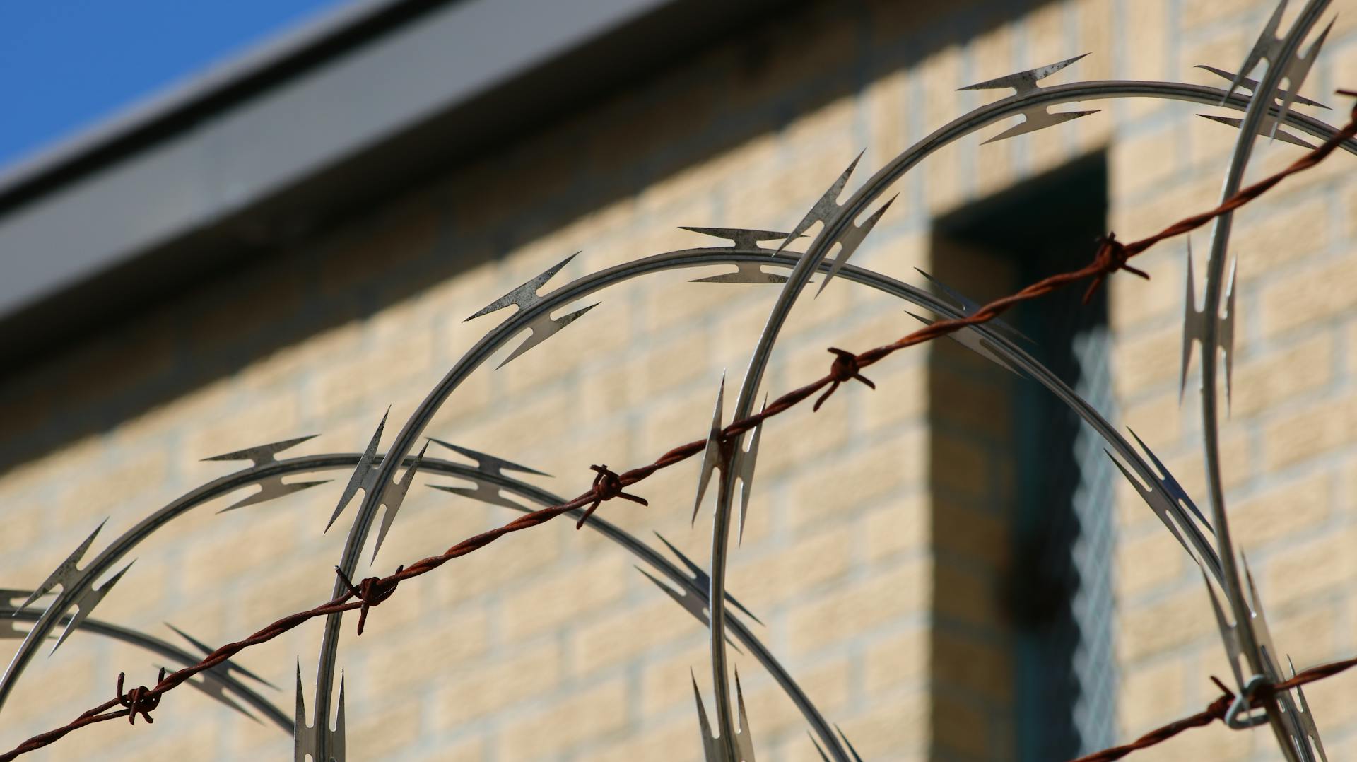 close up photo of rings of barbed wire with tall brick building in the background