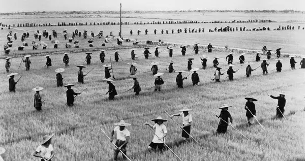 black and white photo of Chinese workers in a grain field