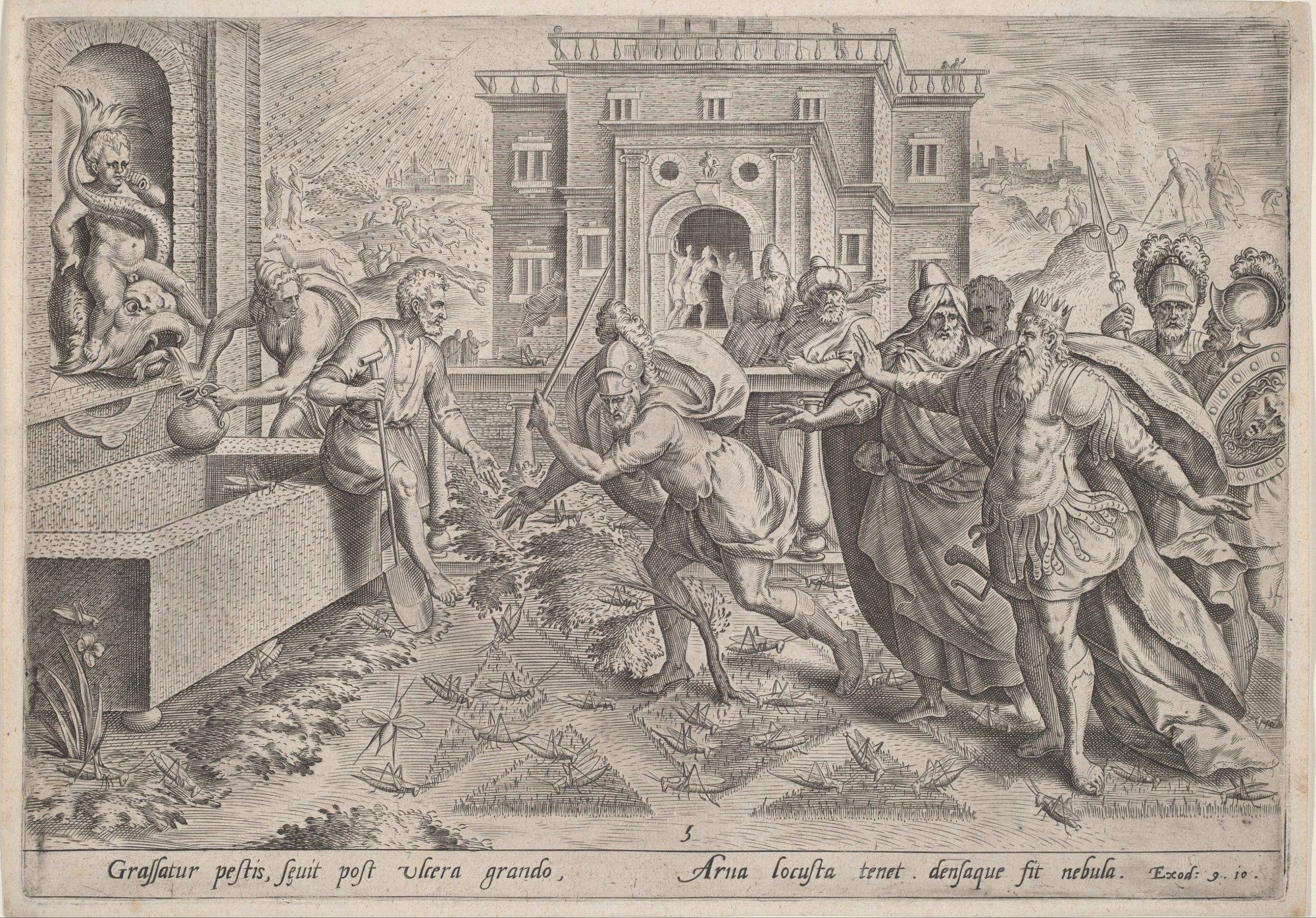 Historical engraving the plague of locust