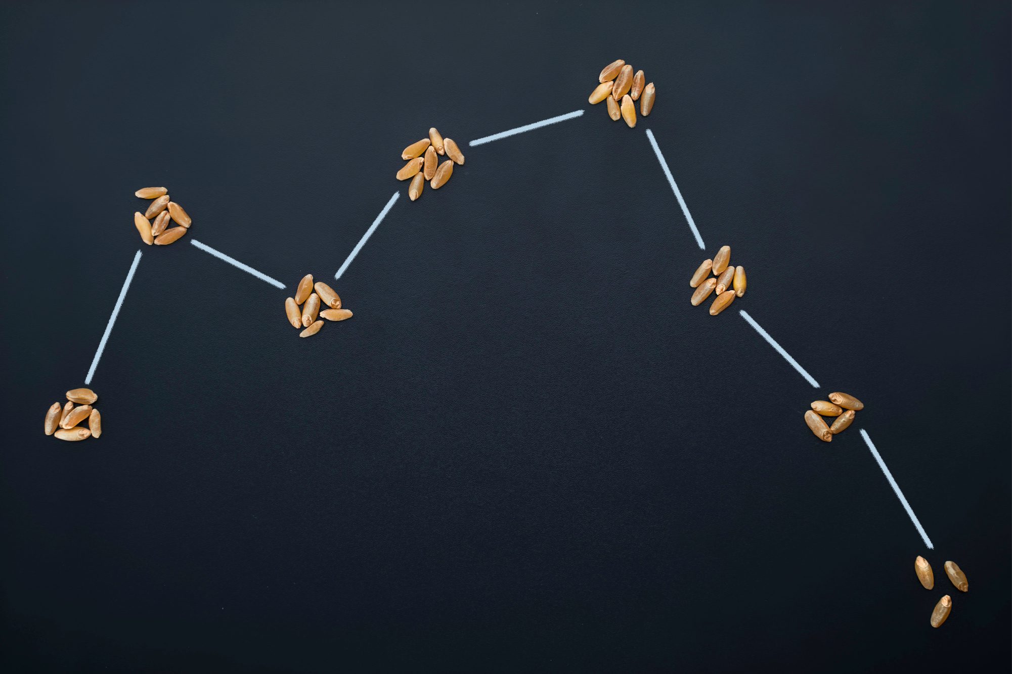bits of grain arranged to look like points on a graph