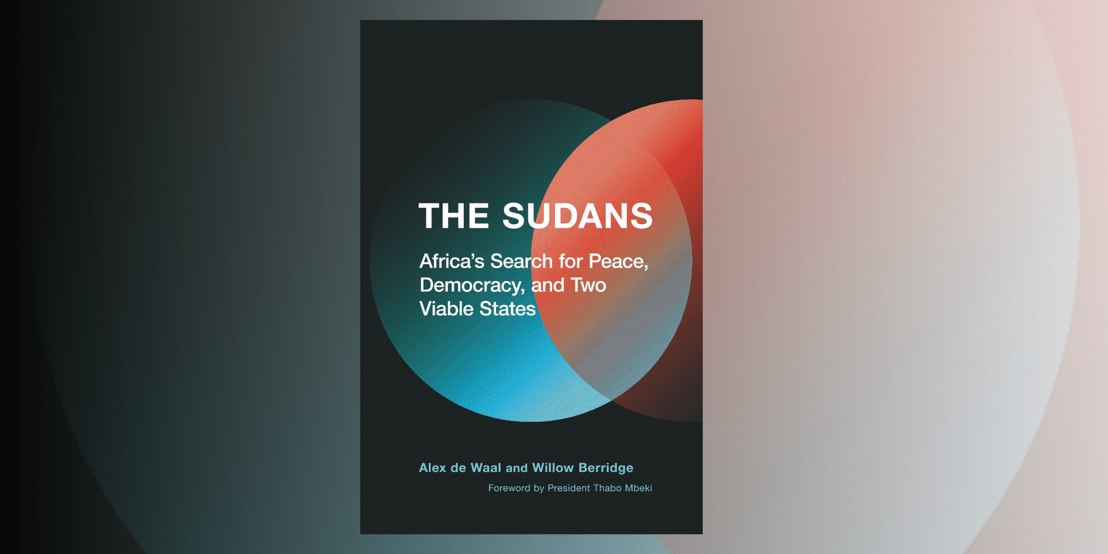 The Sudans book cover banner